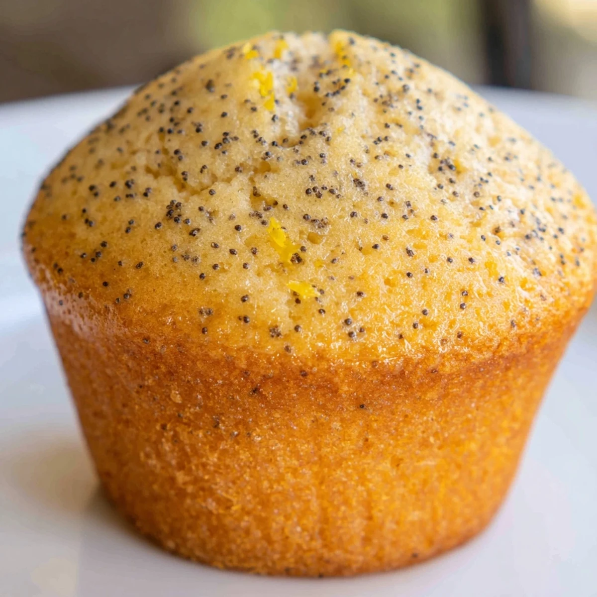 Lemon Poppy Seed Muffins
