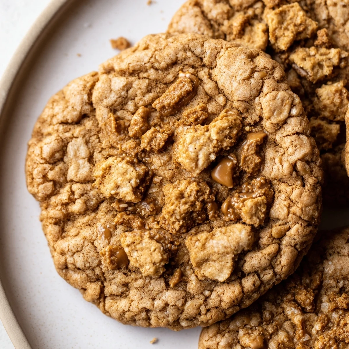 Plate of warm Biscoff oatmeal Lotus cookies paired with steaming coffee for afternoon treat